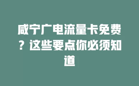 咸宁广电流量卡免费？这些要点你必须知道