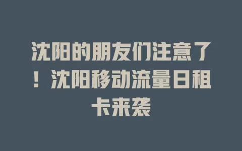 沈阳的朋友们注意了！沈阳移动流量日租卡来袭