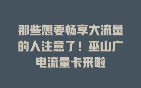 那些想要畅享大流量的人注意了！巫山广电流量卡来啦