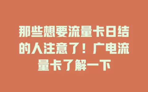 那些想要流量卡日结的人注意了！广电流量卡了解一下