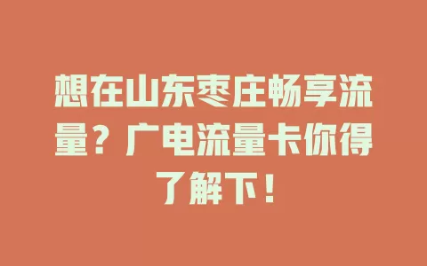 想在山东枣庄畅享流量？广电流量卡你得了解下！