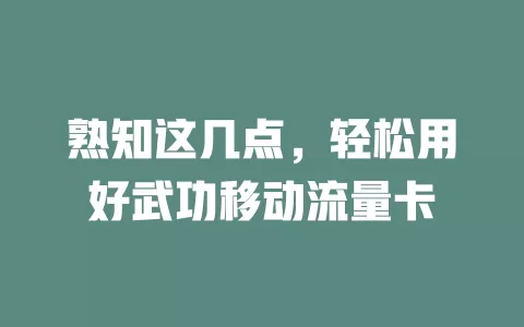熟知这几点，轻松用好武功移动流量卡