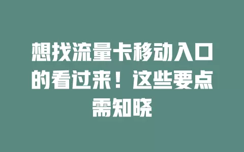 想找流量卡移动入口的看过来！这些要点需知晓