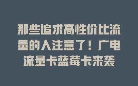 那些追求高性价比流量的人注意了！广电流量卡蓝莓卡来袭