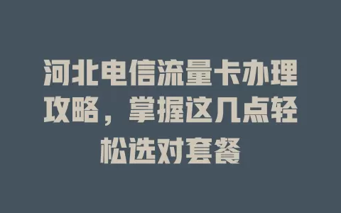 河北电信流量卡办理攻略，掌握这几点轻松选对套餐