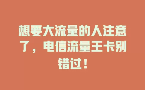 想要大流量的人注意了，电信流量王卡别错过！