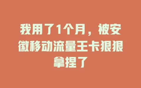 我用了1个月，被安徽移动流量王卡狠狠拿捏了