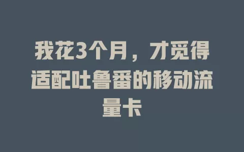 我花3个月，才觅得适配吐鲁番的移动流量卡