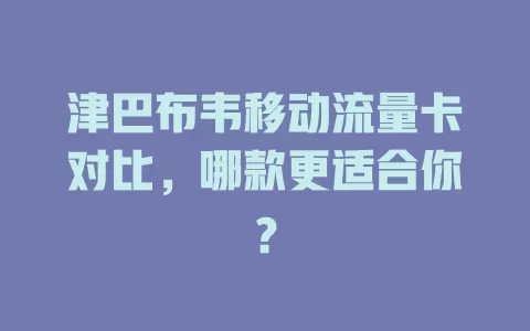 津巴布韦移动流量卡对比，哪款更适合你？