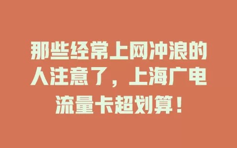 那些经常上网冲浪的人注意了，上海广电流量卡超划算！