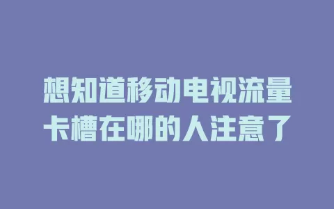 想知道移动电视流量卡槽在哪的人注意了