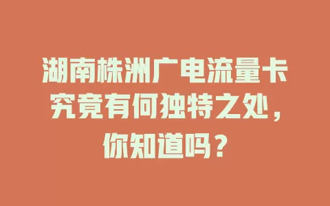 湖南株洲广电流量卡究竟有何独特之处，你知道吗？