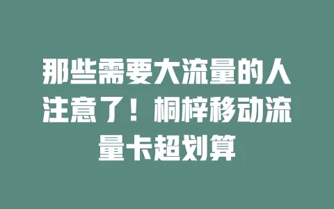 那些需要大流量的人注意了！桐梓移动流量卡超划算