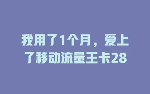 我用了1个月，爱上了移动流量王卡28