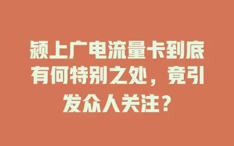颍上广电流量卡到底有何特别之处，竟引发众人关注？