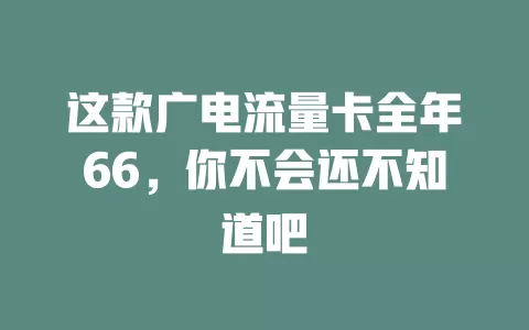 这款广电流量卡全年66，你不会还不知道吧