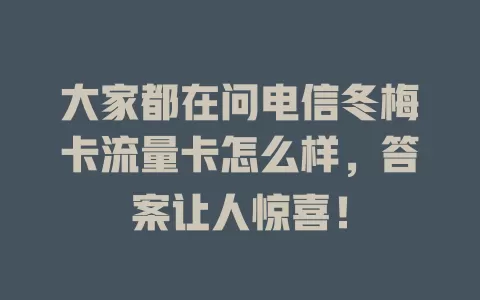 大家都在问电信冬梅卡流量卡怎么样，答案让人惊喜！
