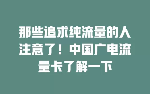 那些追求纯流量的人注意了！中国广电流量卡了解一下