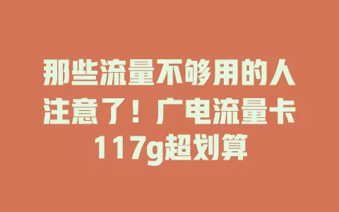 那些流量不够用的人注意了！广电流量卡117g超划算