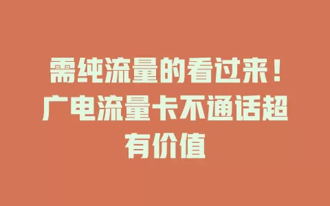 需纯流量的看过来！广电流量卡不通话超有价值
