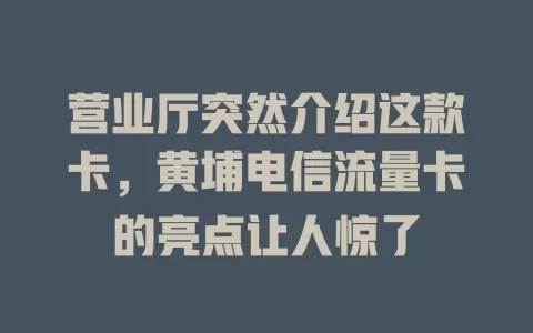 营业厅突然介绍这款卡，黄埔电信流量卡的亮点让人惊了