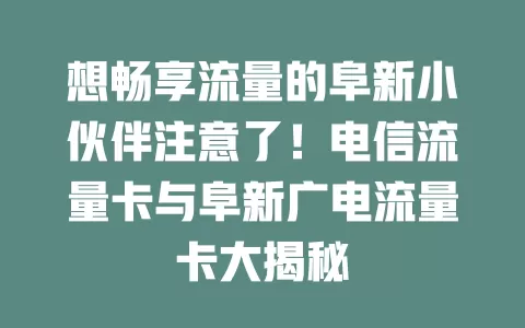 想畅享流量的阜新小伙伴注意了！电信流量卡与阜新广电流量卡大揭秘