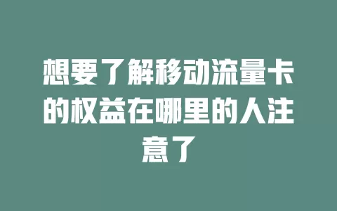 想要了解移动流量卡的权益在哪里的人注意了