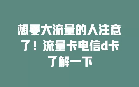 想要大流量的人注意了！流量卡电信d卡了解一下