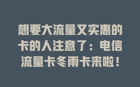 想要大流量又实惠的卡的人注意了：电信流量卡冬雨卡来啦！