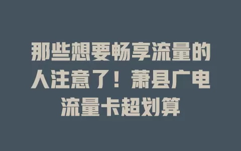 那些想要畅享流量的人注意了！萧县广电流量卡超划算