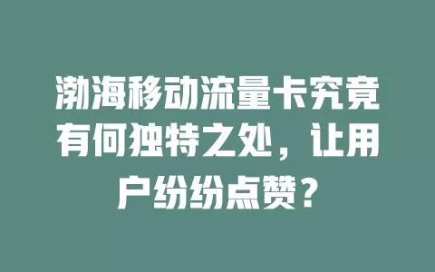 渤海移动流量卡究竟有何独特之处，让用户纷纷点赞？
