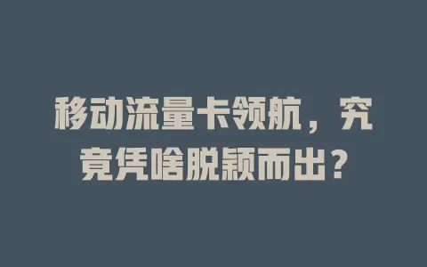 移动流量卡领航，究竟凭啥脱颖而出？