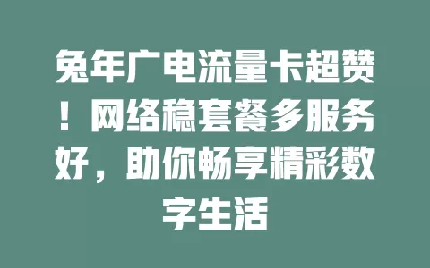 兔年广电流量卡超赞！网络稳套餐多服务好，助你畅享精彩数字生活