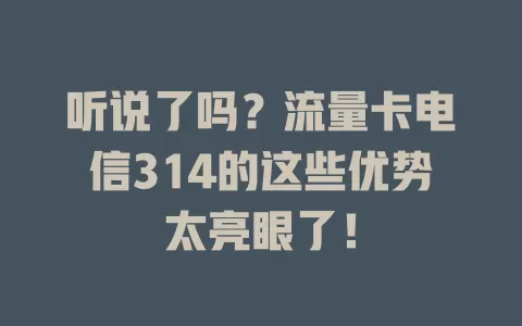 听说了吗？流量卡电信314的这些优势太亮眼了！