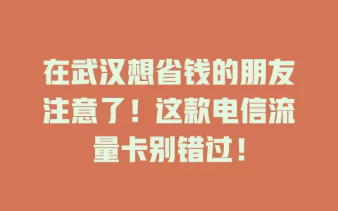 在武汉想省钱的朋友注意了！这款电信流量卡别错过！