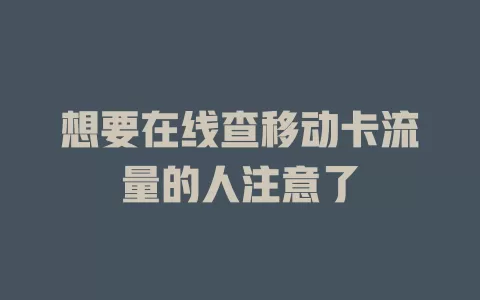 想要在线查移动卡流量的人注意了