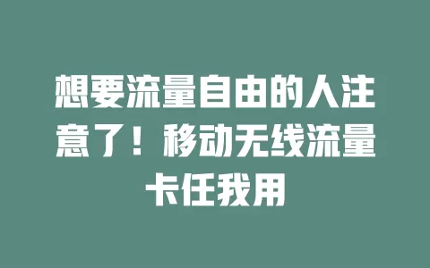 想要流量自由的人注意了！移动无线流量卡任我用
