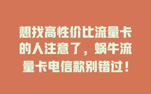 想找高性价比流量卡的人注意了，蜗牛流量卡电信款别错过！