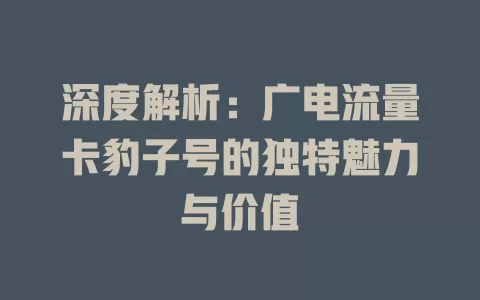 深度解析：广电流量卡豹子号的独特魅力与价值