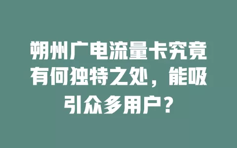 朔州广电流量卡究竟有何独特之处，能吸引众多用户？