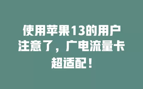 使用苹果13的用户注意了，广电流量卡超适配！