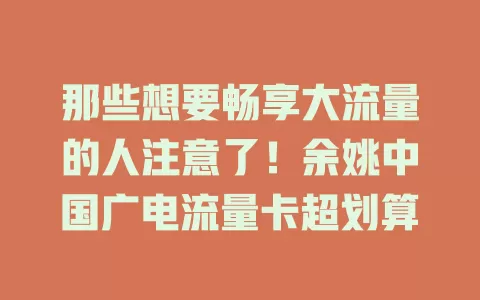 那些想要畅享大流量的人注意了！余姚中国广电流量卡超划算