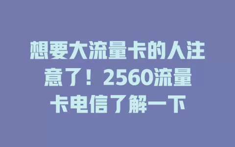 想要大流量卡的人注意了！2560流量卡电信了解一下