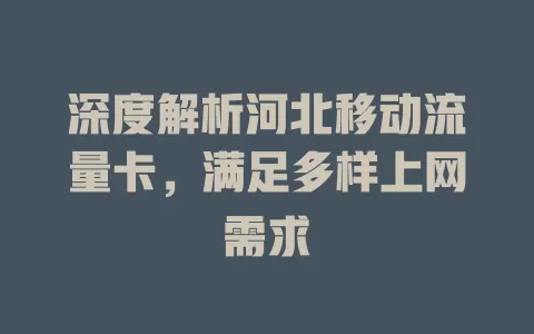 深度解析河北移动流量卡，满足多样上网需求