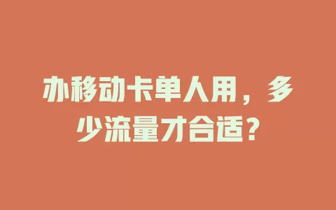 办移动卡单人用，多少流量才合适？