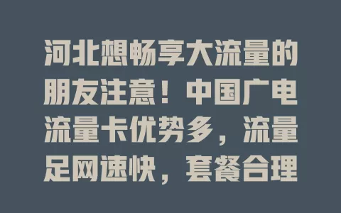 河北想畅享大流量的朋友注意！中国广电流量卡优势多，流量足网速快，套餐合理，是上网优质之选