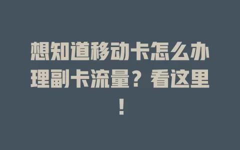 想知道移动卡怎么办理副卡流量？看这里！