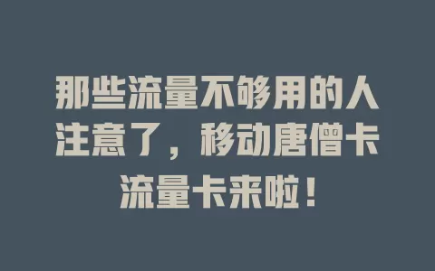 那些流量不够用的人注意了，移动唐僧卡流量卡来啦！