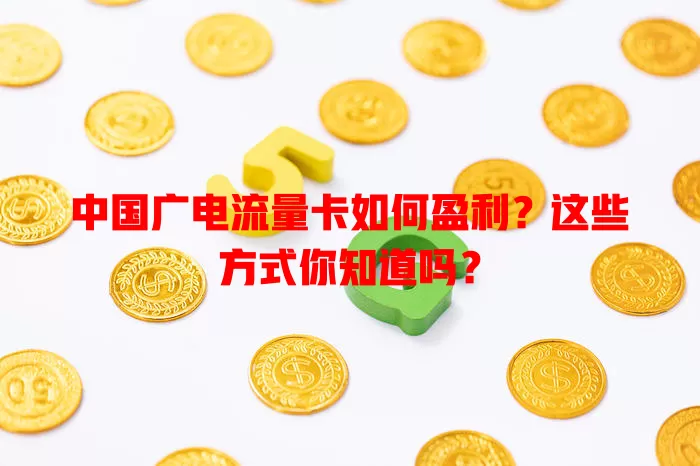 中国广电流量卡如何盈利？这些方式你知道吗？