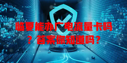 临夏能办广电流量卡吗？答案你知道吗？